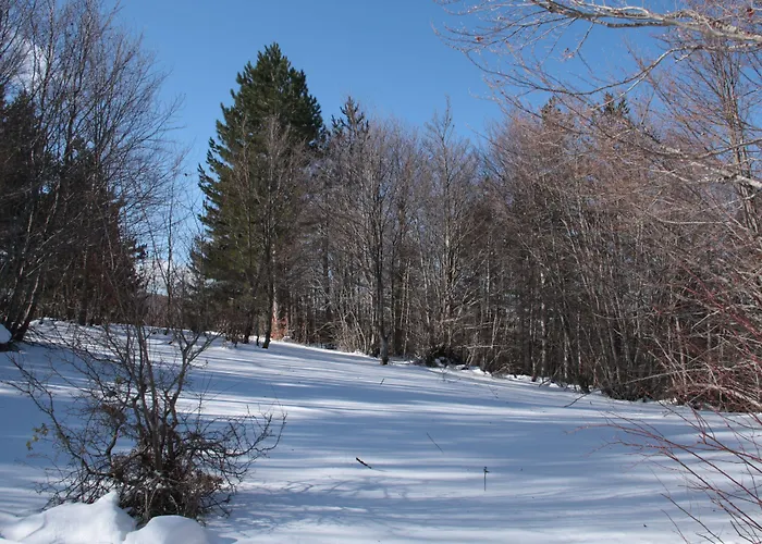 酒店 National Park & 4*